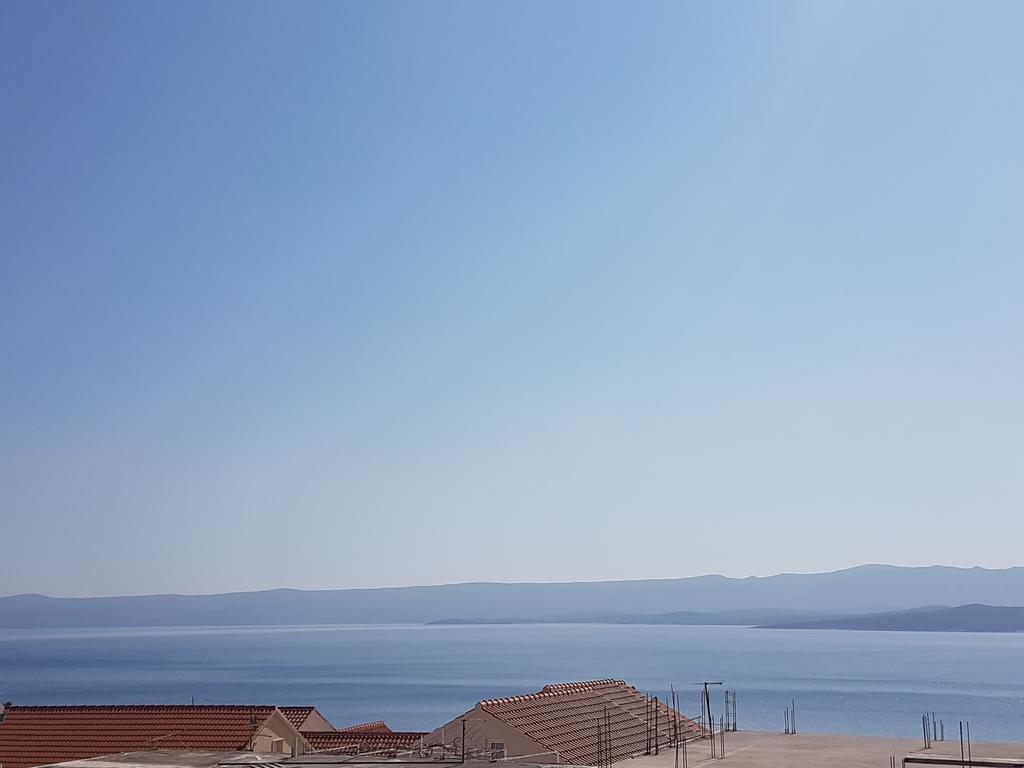 Jadera